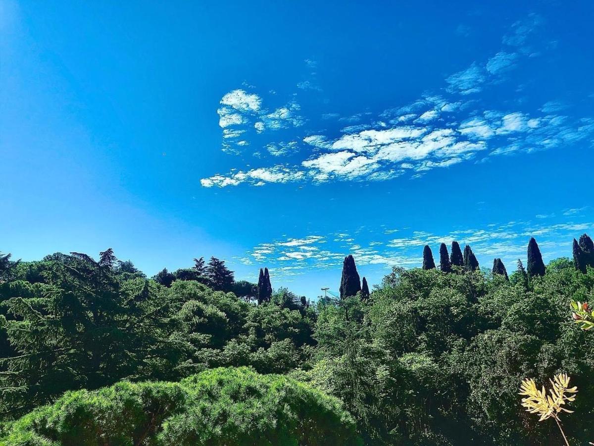 Happy Holiday In Rome B&B エクステリア 写真