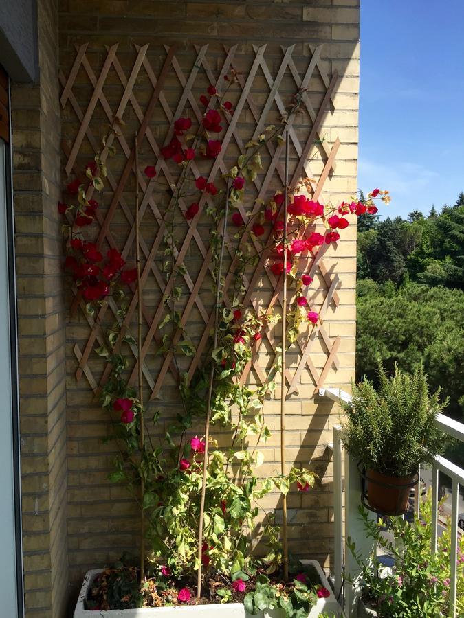Happy Holiday In Rome B&B エクステリア 写真
