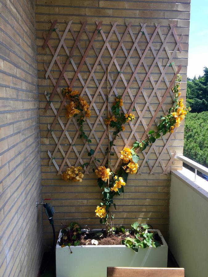 Happy Holiday In Rome B&B エクステリア 写真
